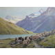 Stenzl: Ovce na alpskom svahu