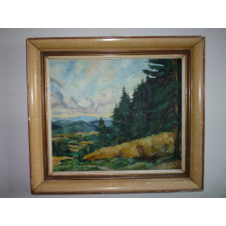 A. Augusta: Horská krajina