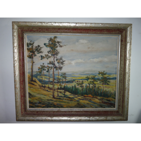 Chj. Alkop: Krajina s borovicami