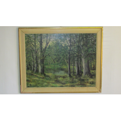 V. Hruška: Lesný močiar