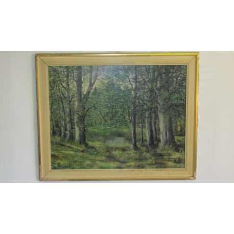 V. Hruška: Lesný močiar